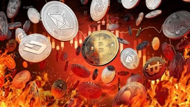 Anlık Değer Kaybı: Kripto Paraların Mali Riskleri
