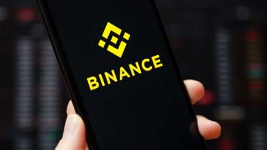 Binance Yatırım Fırsatları: Listelenen Yeni Altcoin'ler